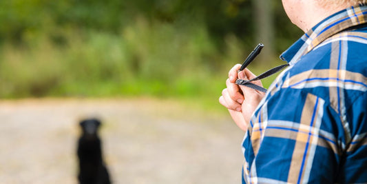 Tout savoir sur les whistles : de la musique aux collections de mode